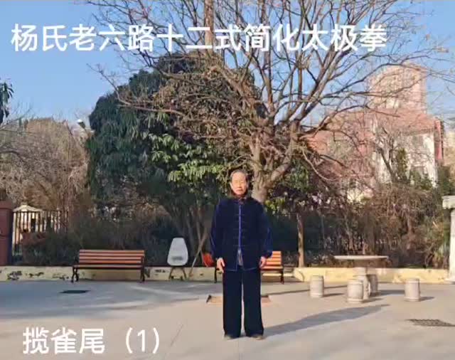 第二式 揽雀尾（一）课堂画面