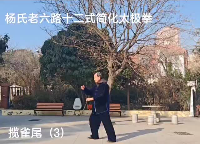 第二式 揽雀尾（三）课堂画面