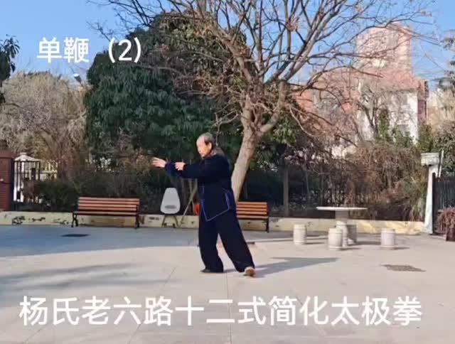 第三式 单鞭（二）课堂画面