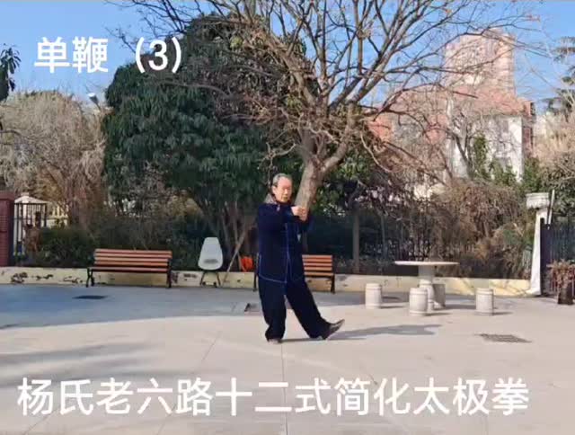 第三式 单鞭（三）课堂画面