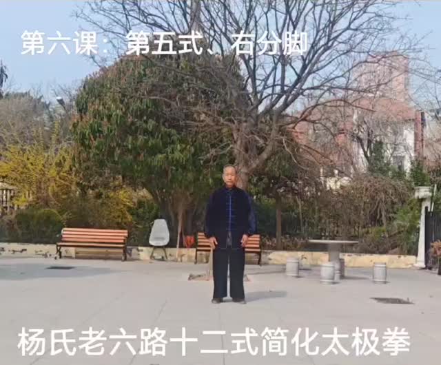 第五式 右分脚 · 讲解课堂画面