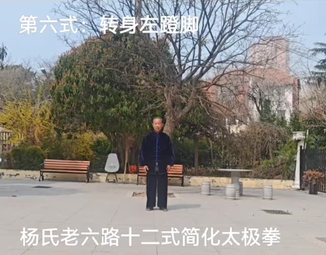 第六式 转身左蹬脚 · 讲解课堂画面