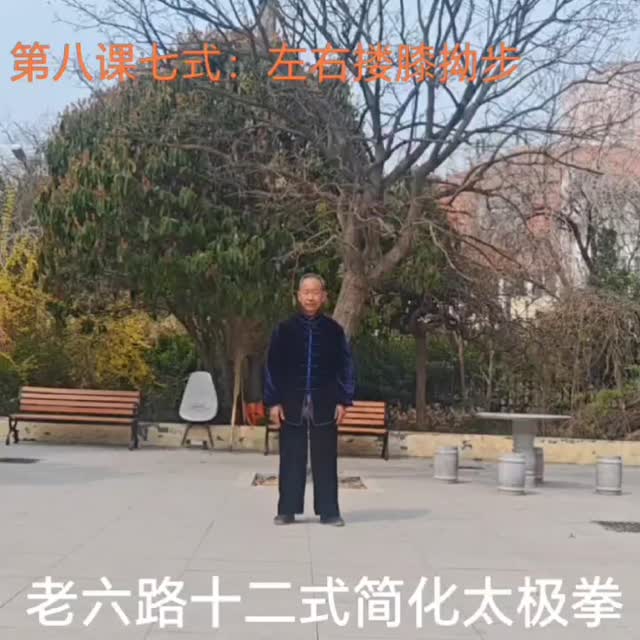 第七式 左右搂膝拗步 · 讲解课堂画面