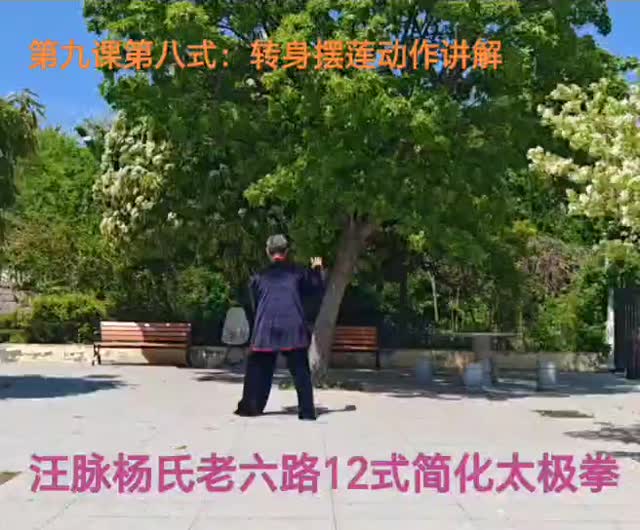 第八式 转身摆莲 · 动作讲解课堂画面